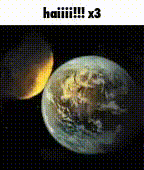 stupidgif